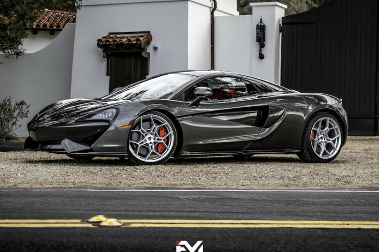 Mclaren 570S - Fantazy Motorsports